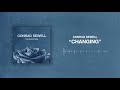 conrad sewell changing official audio