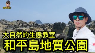 提姆微旅行 | 蕈狀岩花豹岩燭台超多想像空間 | 和平島地質公園 | 寓教於樂的好去處 | 鬼斧神工大自然的傑作