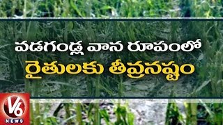 Adilabad Farmers In Concern With Crop Loss Due To Sudden Rain | V6 News