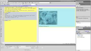 What is Dreamweaver