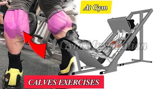 4 BEST EXERCISES \ CALVES WORKOUT & CALF RAISES