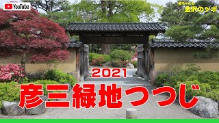 2021彦三緑地つつじ