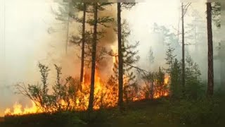 El sem tudjuk képzelni a szibériai tüzek kiterjedését