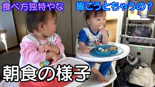 朝ごはんから爆食！！男女双子生後1歳2ヶ月の食事風景