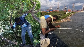 HUGE TARPON PULLS ROD OFF THE BRIDGE