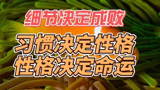 细节决定成败 习惯决定性格 性格决定命运  细节决定成败，习惯决定着性格，性格决定命运。心理学家研究发现不良的性格组合是导致人生失败的重要原因。但是性格极是天生的，遗传的因素又是可以通过环境加以雕琢的