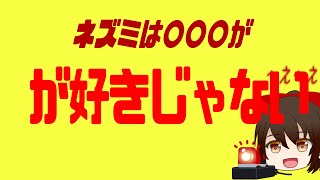 【ゆっくり解説】ネズミはある食べ物が好きじゃない！を1分解説＃Shorts