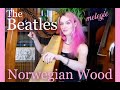 Norwegian Wood - The Beatles - Harp cover