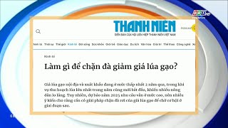 Tiêu điểm Báo chí [8/1/2025] | BRTgo