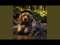 River Soothe Pets Harmony