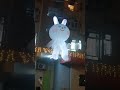 Rabbit display #shorts #shortvideo #rabbit #display #fun #hongkong #ofw #midautumnfestival