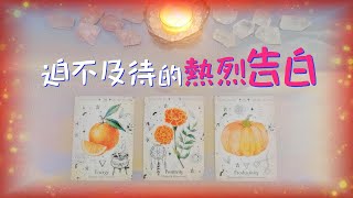 🔮請做好準備❤️‍🔥有人迫不及待要向你深情告白！❤️‍🔥TA是誰？TA的特質|表白時間|場景等訊息宇宙已給出指引！❤️‍🔥|塔羅占卜|感情|愛情|桃花|脫單|下一任