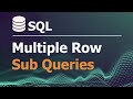 SQL Tutorial for Data Analysis 32: Multiple Row Sub Queries