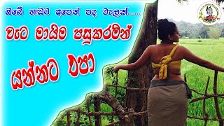 ඔබේ හඬට අපෙන්.... ගී පබැඳුම් 05