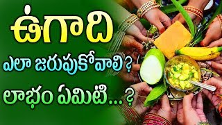 ఉగాది ఎలా జరుపుకోవాలి؟ లాభం ఏమిటి؟   ¦ Mana Nidhi ¦ Ugadi Festival