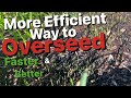 How to Pre-Germinate Grass Seed