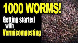 Part 1: 1000 Worms! Getting Started with Vermicomposting and Setting Up my Worm Bin