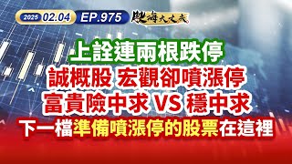 第975集｜上詮連兩根跌停 誠概股 宏觀卻噴漲停 富貴險中求 VS 穩中求 下一檔準備噴漲停的股票在這裡｜20250204｜陳建誠 分析師｜股海大丈夫