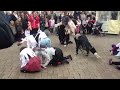 thriller dolloway dancers