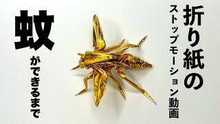 折り紙　蚊　Origami mosquito