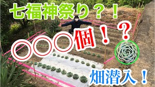 【多肉植物】山奥の\