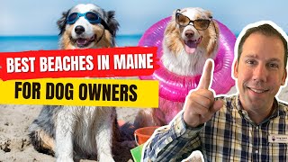 The Best Beaches for Dog Owners in Maine
