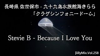 Stevie B - Because I Love You（長崎県 佐世保市 - 九十九島水族館海きらら）「クラゲシンフォニードーム」/ βillyMix.Vol.258