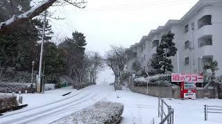 20250208_【半田市・武豊町・美浜町】「20250208  - 雪 -」