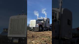 Peterbilt 379 Cold Start