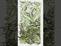 Let’s Get Higher (Creative coding with p5.js)