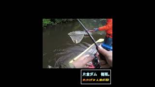 片倉ダム　梅雨。釣行記　 【ショート版】～笹川湖　/　片倉ダム・バス釣り～　Okagesan fishing notes Lure Fishing Large mouth bass