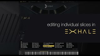 Output Quickies: Editing Slices in EXHALE