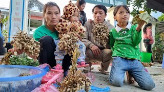 Dia's family finally harvests beans to sell | buy clothes for your child.