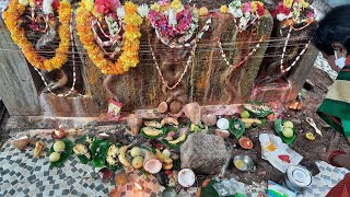 naagulachavithi puja || నాగులచవితి పూజ 🙏🙏🌹🌹