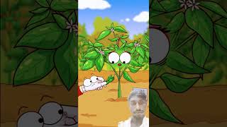 অনেকদিন পরে তো #cartoon সুন্দর একটা মরিচ ধরেছে