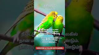 காதல் நிறைந்த உலகம் | Full of Love  | Tamizh Pamaran Kavithaigal | தமிழ் பாமரன் கவிதைகள்