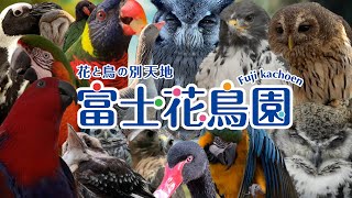 富士花鳥園　プロモーションビデオ