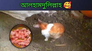 বাচ্চাগুলোকে দুধ খাওয়াইছে || কিন্তু একটা সমস্যা হইছে 😔😭