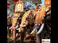 കൊടുങ്ങല്ലൂർ ഗിരീശൻ kodungallur gireesan elephant story