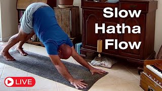 Slow Hatha Flow | 60 Mins - 1/15/25 | #Yoga #SlowHathaFlow #PeaceAndLove