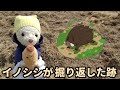 【ぬい撮り】クマが警鐘！ イノシシの痕跡。🐻97話