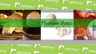 AndNowUKnow - Mushroom Update - The Bloom