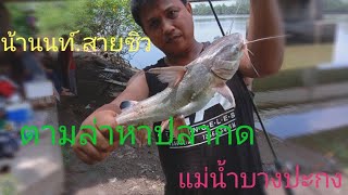 น้านนท์  สายชิวep6. ตามล่าหาปลากดแม่น้ำบางปะกง