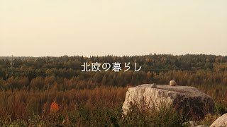 vlog｜紅葉が始まった景色を見ながら雑談しよう｜留学中の話｜サウナトントゥ｜秋を楽しむ暮らし🕯️前編｜北欧の楽し☕️🍂