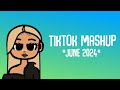 tiktok mashup june 2024