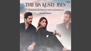 Tum Bin Kesay Jiyen (Original Motion Picture Soundtrack)