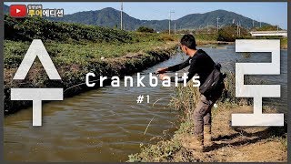 [Bass Fishing 루어에디션#75]베이트 피시가 많은데 왜 입질이 없을까? 쉘로우권수로의 크랭크베이트 (LUNKER MEGABASS staff)