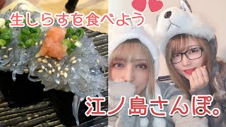 【Vlog】生しらすをたべよう。江ノ島さんぽ。