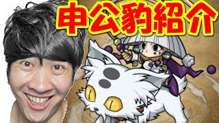 【ポコダン】申公豹【覇穹 封神演義】紹介「スキルの火力がはんぱない！」