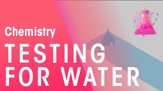 Testing For Water | Chemical Tests | Chemistry | FuseSchool